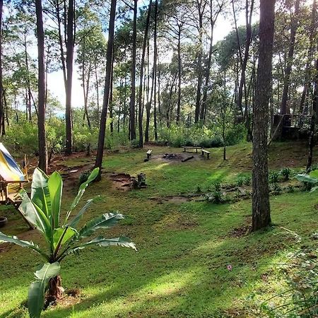 Cabana Rustica A 1Km De Cascada 마자미틀라 외부 사진