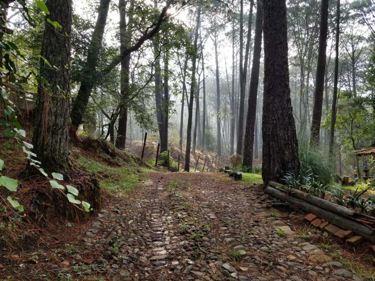 Cabana Rustica A 1Km De Cascada 마자미틀라 외부 사진