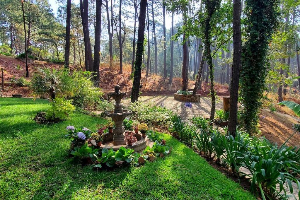 Cabana Rustica A 1Km De Cascada 마자미틀라 외부 사진