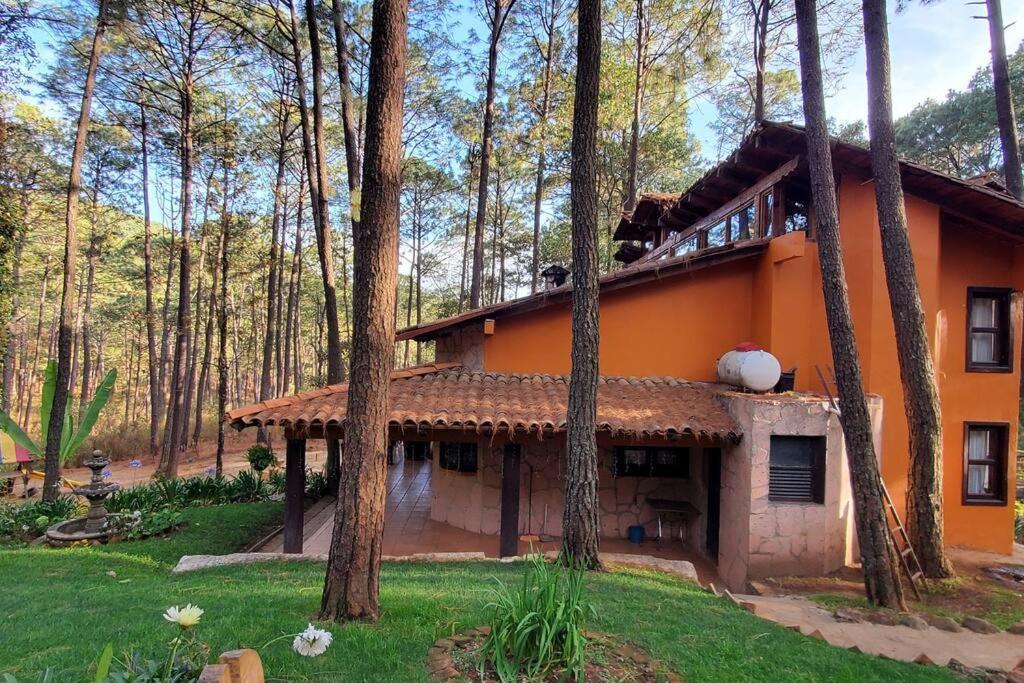 Cabana Rustica A 1Km De Cascada 마자미틀라 외부 사진