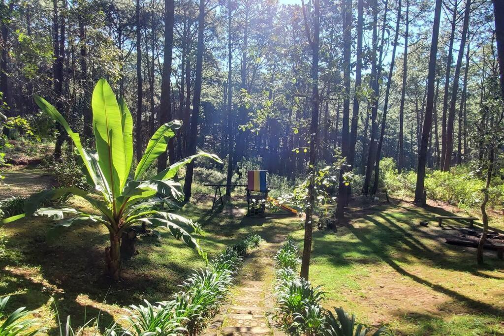 Cabana Rustica A 1Km De Cascada 마자미틀라 외부 사진